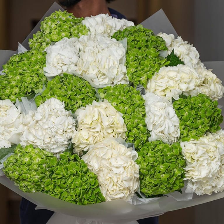Green And White Hydrangea Grand Luxury Bouquet-A485 - Image 2