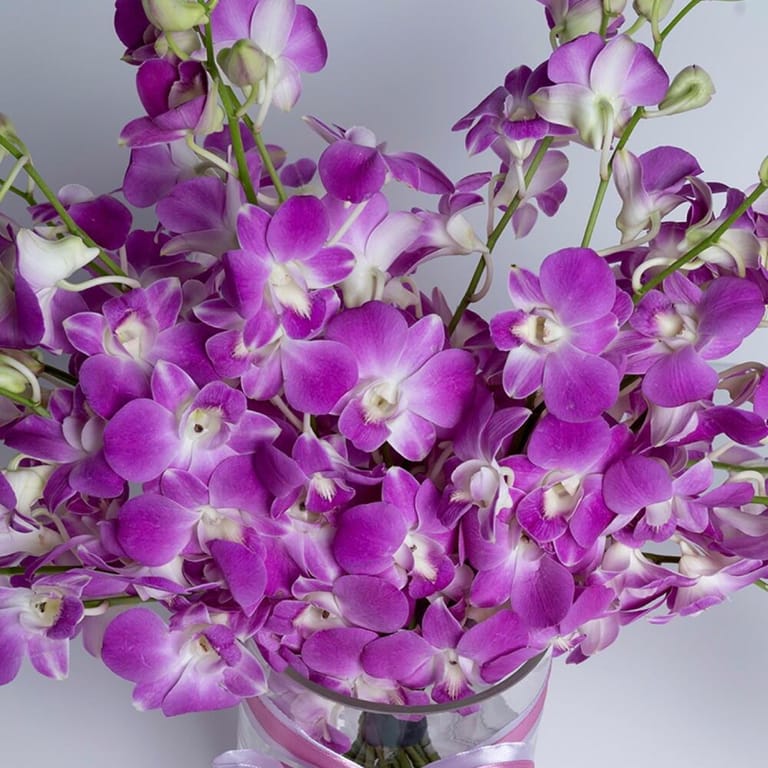 Purple Dendrobium Orchid Luxury Vase Arrangement-A482 - Image 3