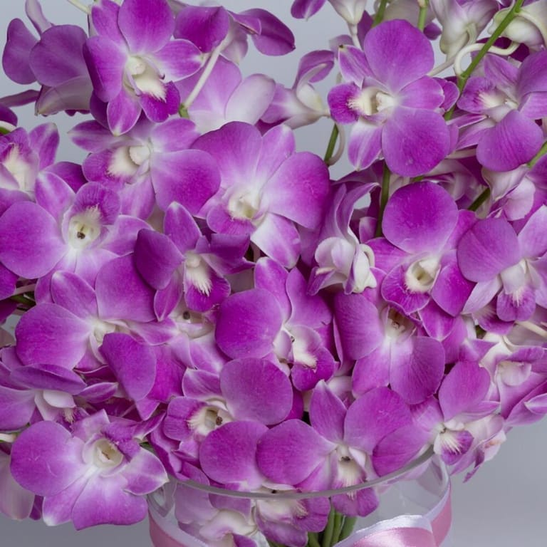 Purple Dendrobium Orchid Luxury Vase Arrangement-A482 - Image 4