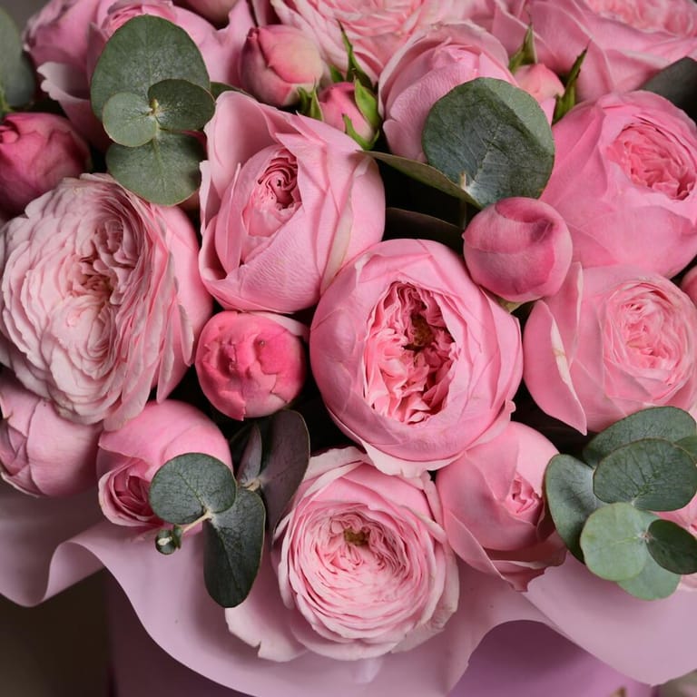 Mansfield Pink Peony Roses Box-A513 - Image 5