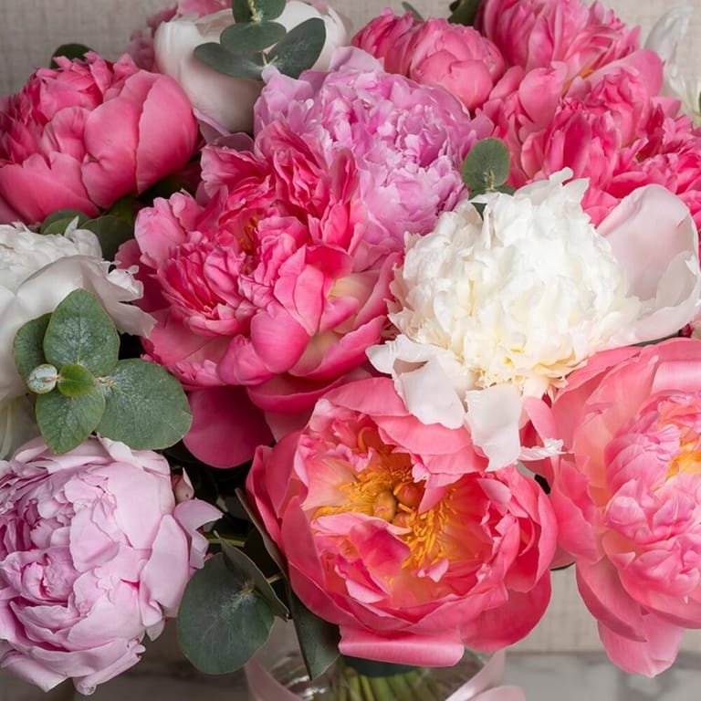 Pink And White Peonies Luxury Vase Arrangement-A542 - Image 4