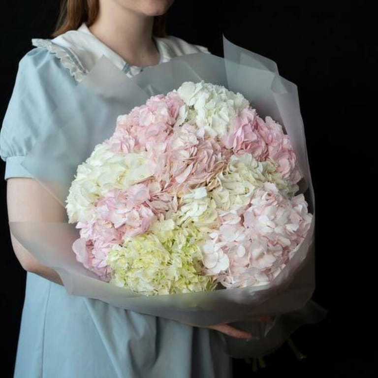 Pink And White Hydrangea Grand Luxury Bouquet-A717 - Image 1