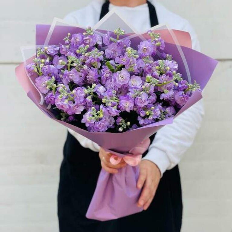 Purple Matthiola Luxury Bouquet-A739 - Image 1