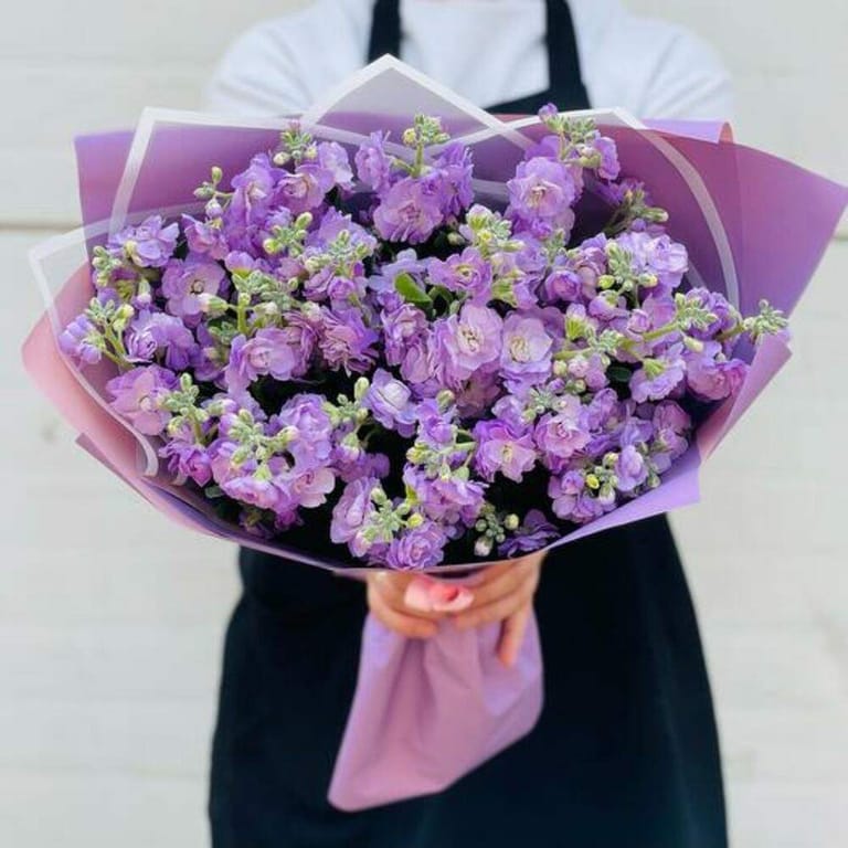Purple Matthiola Luxury Bouquet-A739 - Image 2