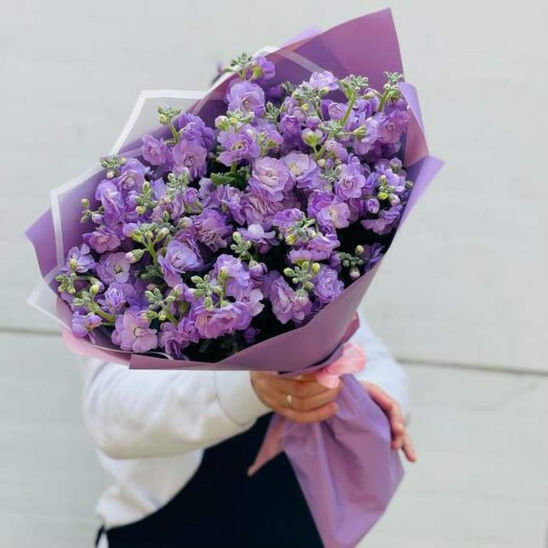 Purple Matthiola Luxury Bouquet-A739 - Image 3