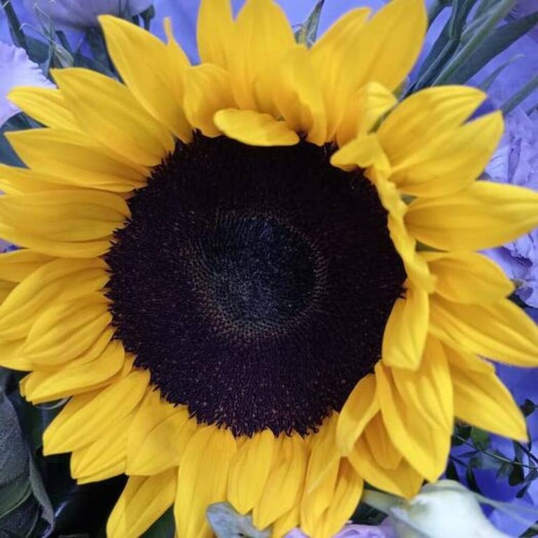 Sunflower Purple Lisianthus Luxury Bouquet-A742 - Image 4