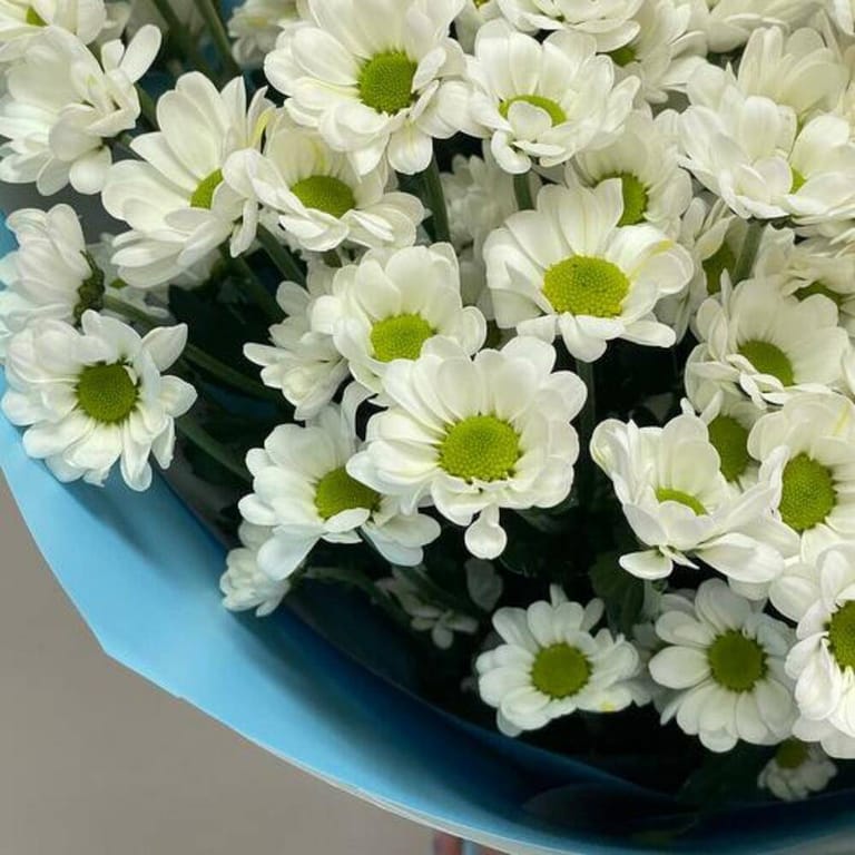 White Chrysanthemum Santini Luxury Bouquet-A733 - Image 5