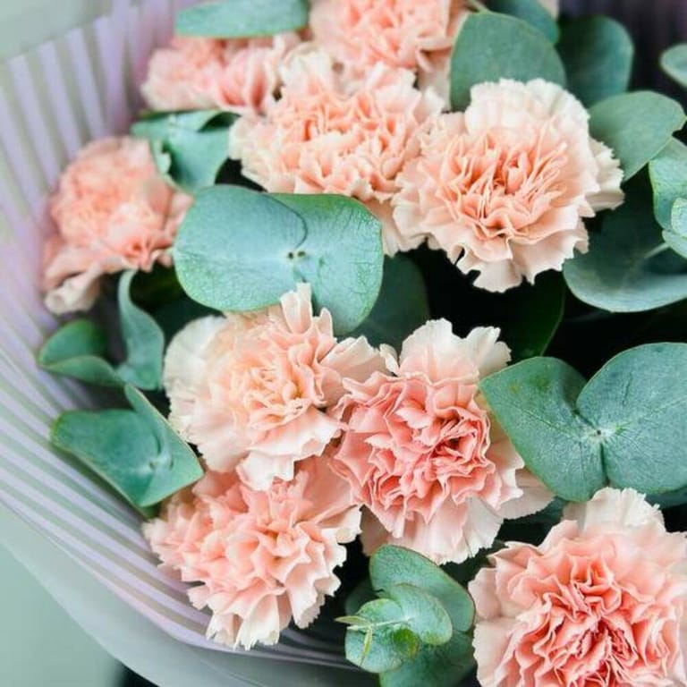 Pink Carnations And Eucalyptus Luxury Bouquet-A741 - Image 5