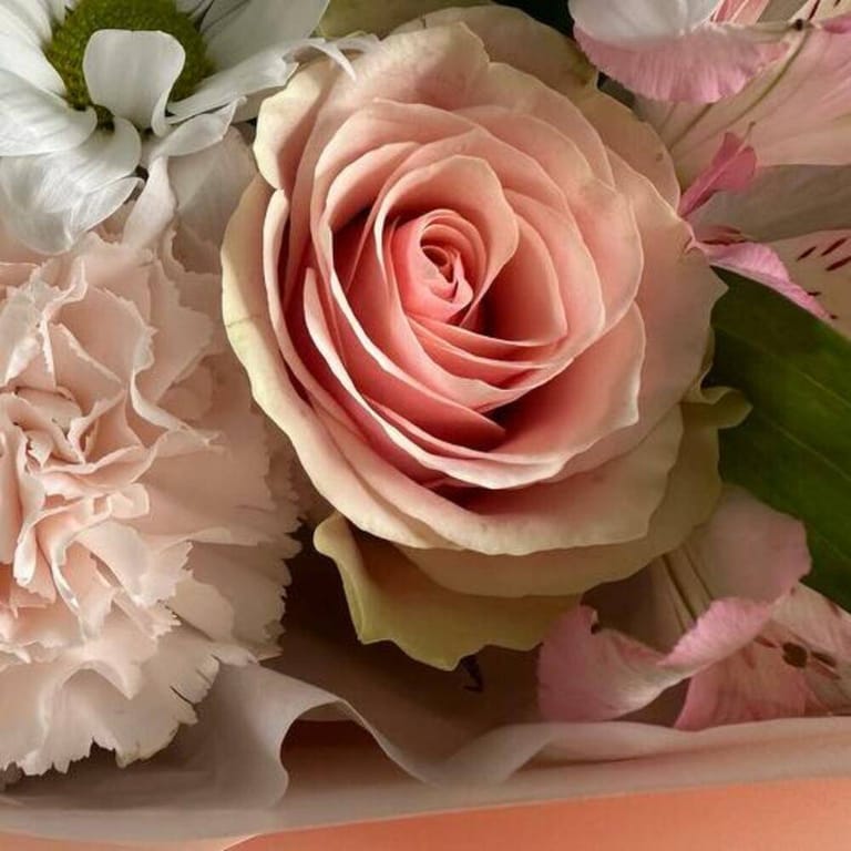 Pink Mondial Rose White Chrysanthemum And Carnation Bouquet-A730 - Image 6