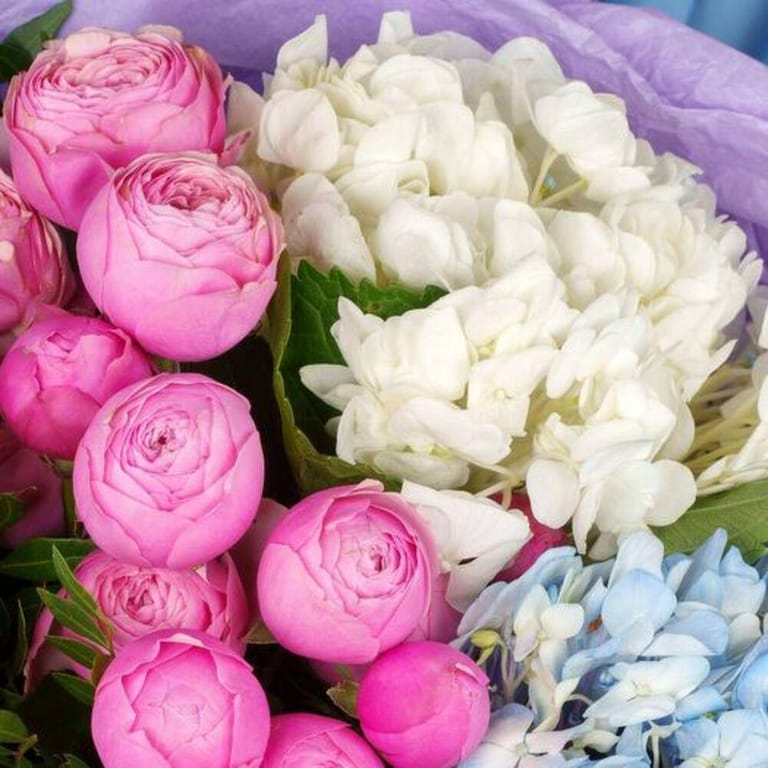 Pink Peony Roses And Mixed Hydrangea Luxury Bouquet-A787 - Image 4