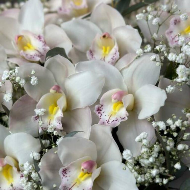 White Cymbidium Orchid Luxury Flower Box-A798 - Image 3
