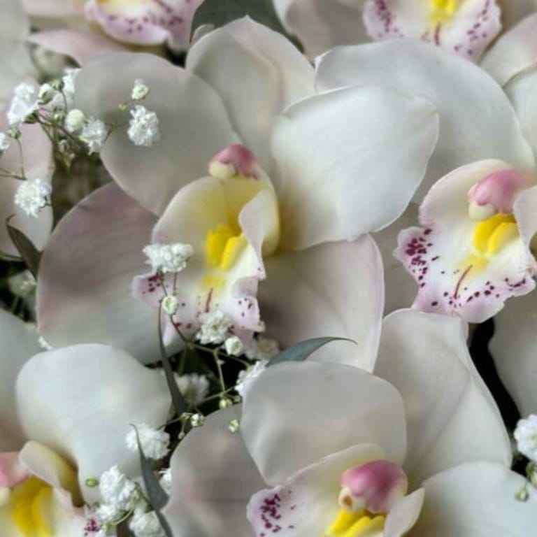 White Cymbidium Orchid Luxury Flower Box-A798 - Image 4