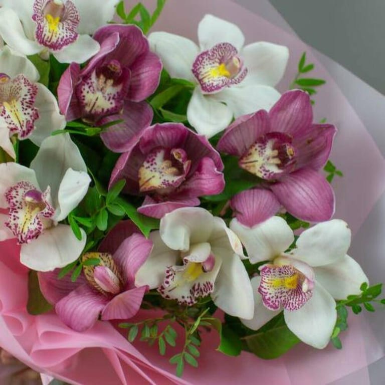White And Pink Cymbidium Orchid Luxury Bouquet-A804 - Image 4