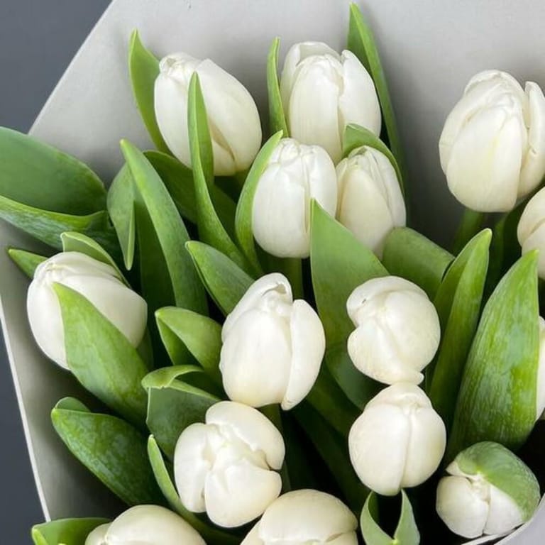 Elegant White Tulip Bouquet-A808 - Image 6