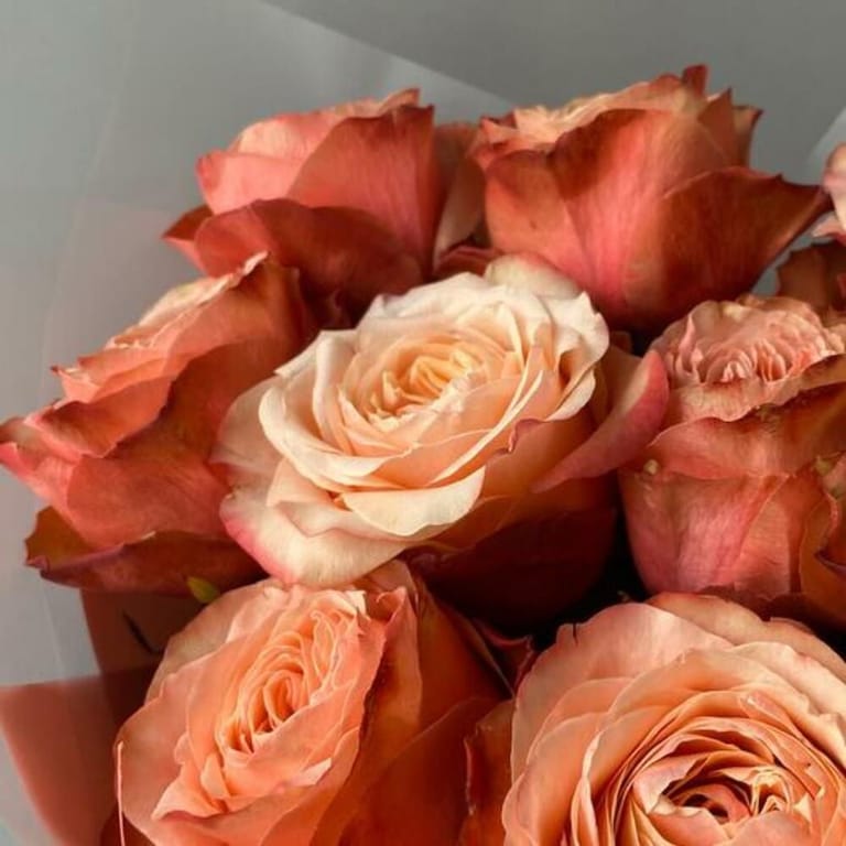 Peach Garden Roses Luxury Bouquet-A812 - Image 6