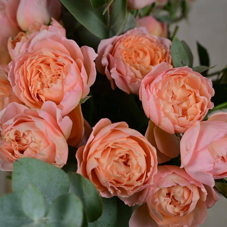 Julietta Peony Roses And Eucalyptus Bouquet-A944 - Image 2