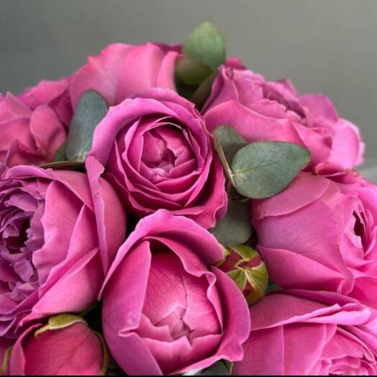 Pink Peony Roses In Elegant Gift Box-A1038 - Image 4