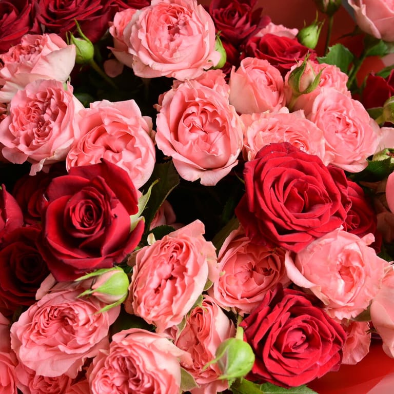 Gentle Trendsetter And Red Trendsetter Luxury Bouquet-A1183 - Image 6