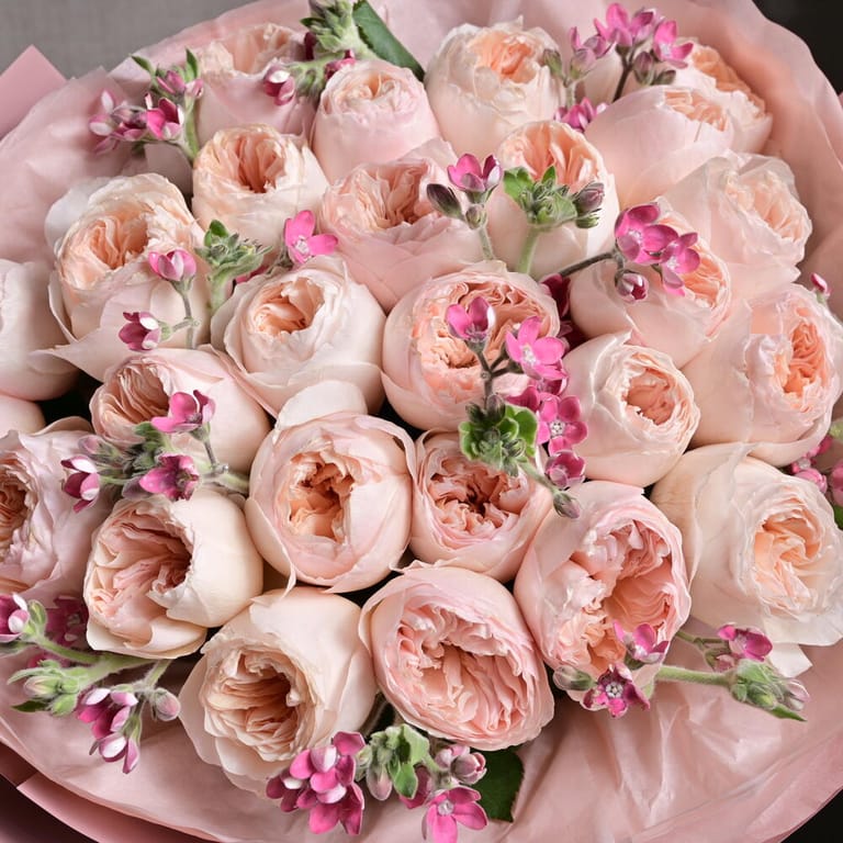 David Austin Roses And OxypetalumLuxury Bouquet-A1228 - Image 4
