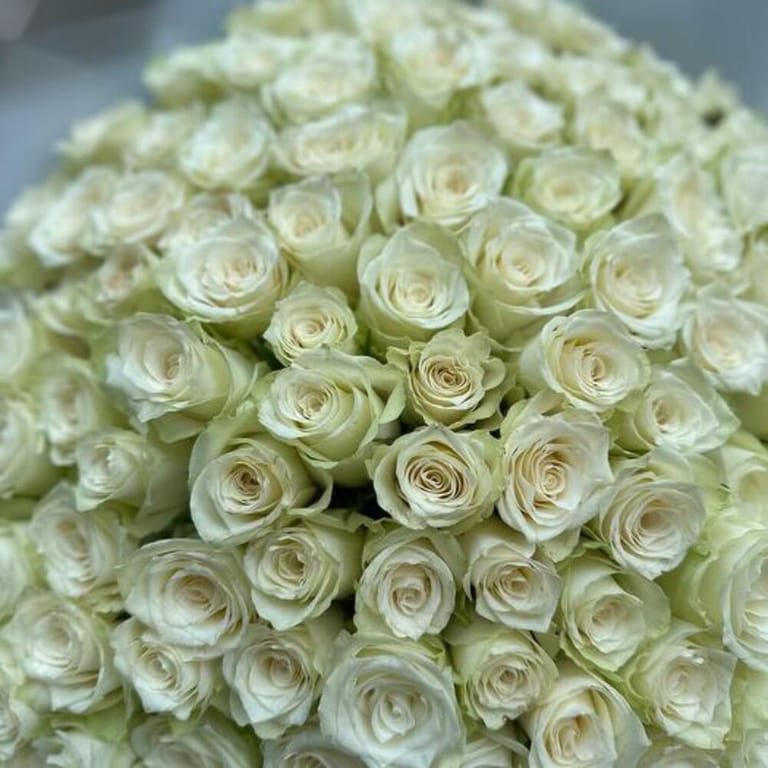101 White Roses Grand Luxury Bouquet-A829 - Image 3