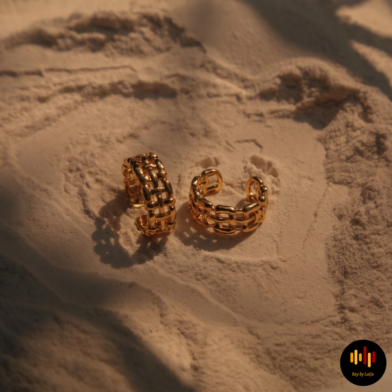 Xanthia Earrings II | Stainless Steel - Image 1