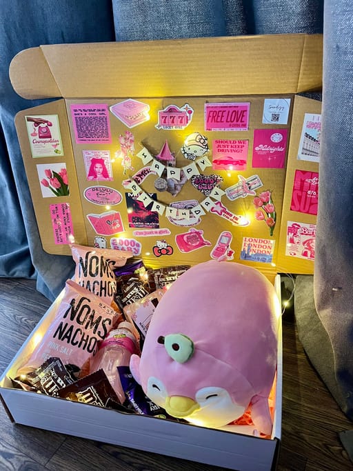 Pink Aesthetic Snack & Plushie Box