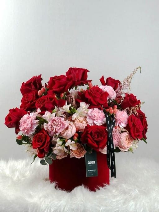 Velvet Bloom - Summer Special