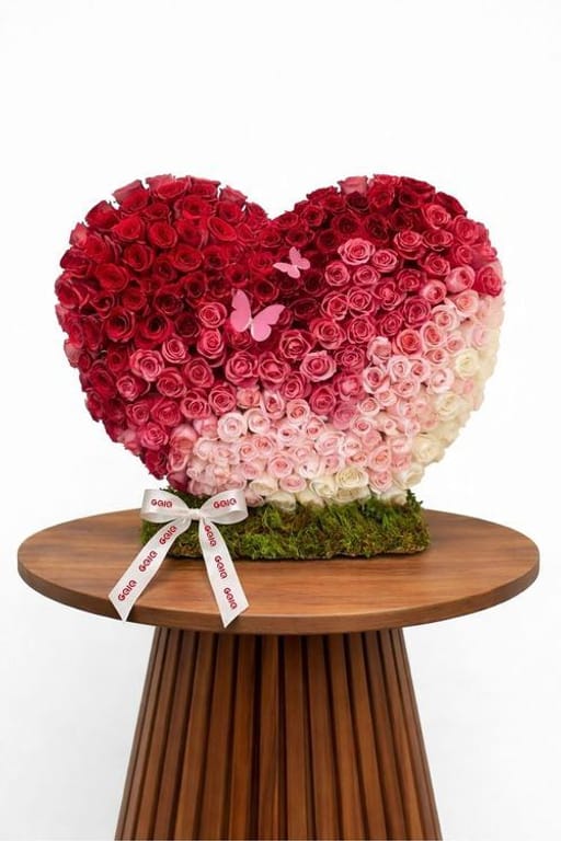 Modern Premium Ombre Rose