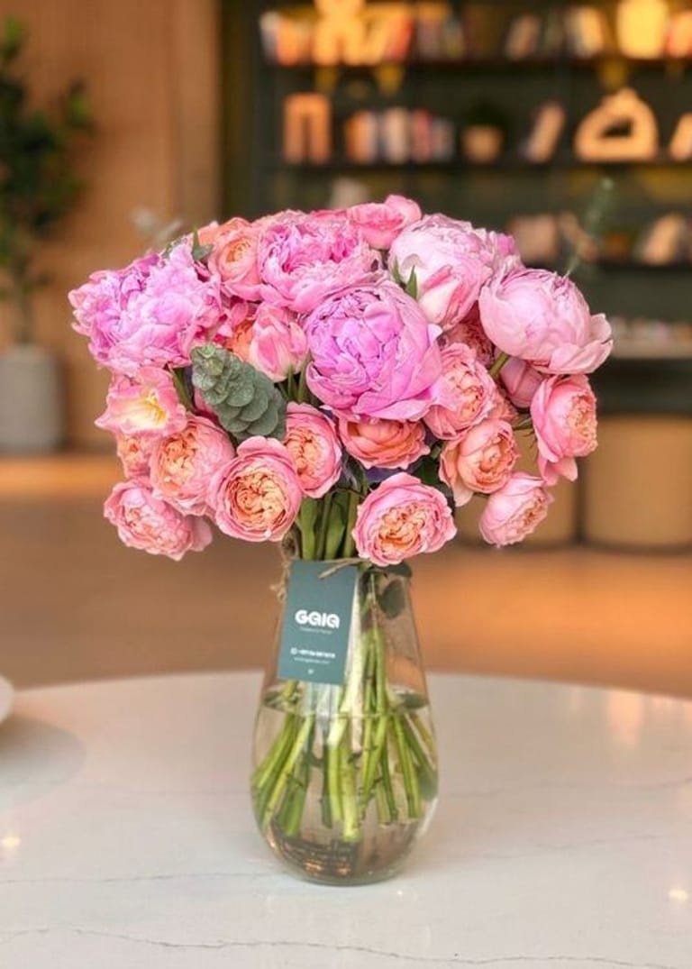 Ultimate Blush Peony Rose Majesty - Image 1