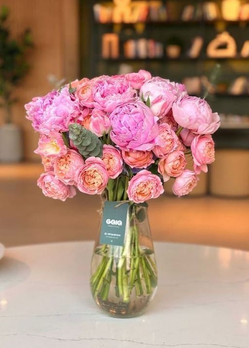 Ultimate Blush Peony Rose Majesty