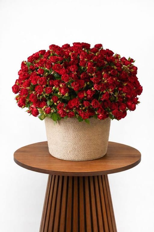 Premium Modern Spray Roses Basket