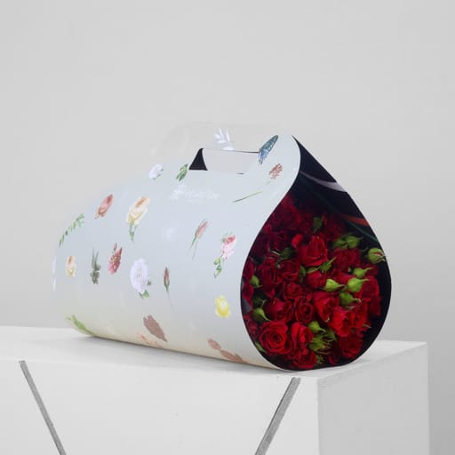 Calyx (Limited Edition).