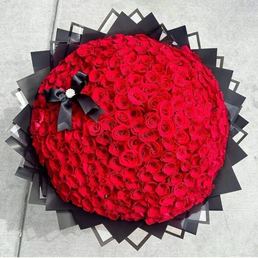 200 Roses