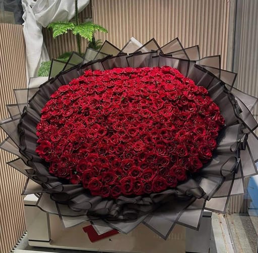 300 Roses