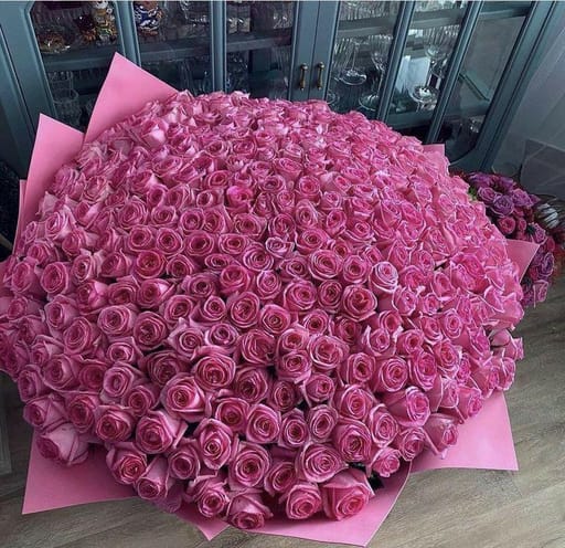 500 Roses