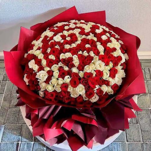 500 Roses