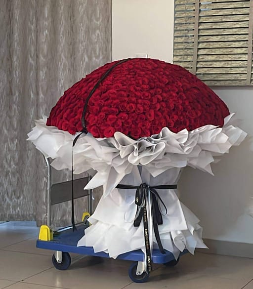 1000 Roses
