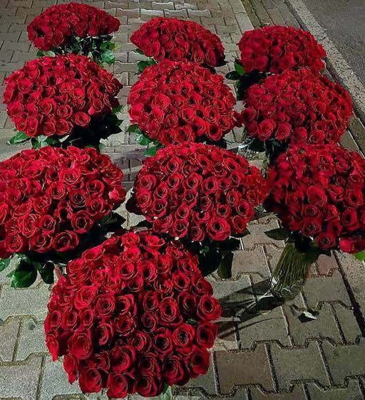 1000 Roses