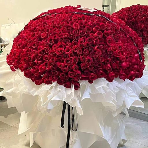1000 Roses