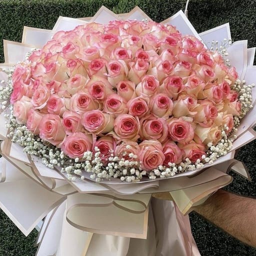 Pink White