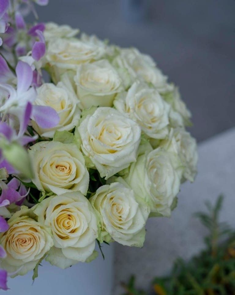Orchids love - Image 3