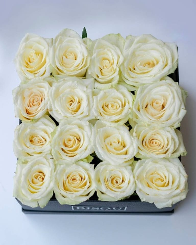 16 roses - Image 2