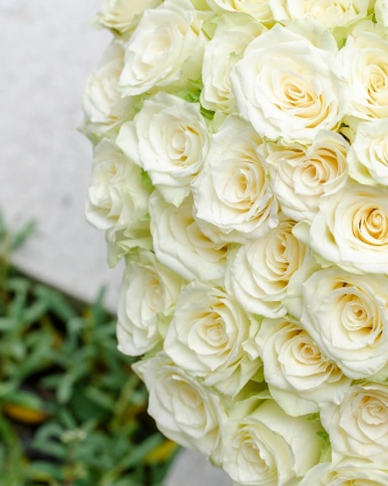 50 Roses - Image 2