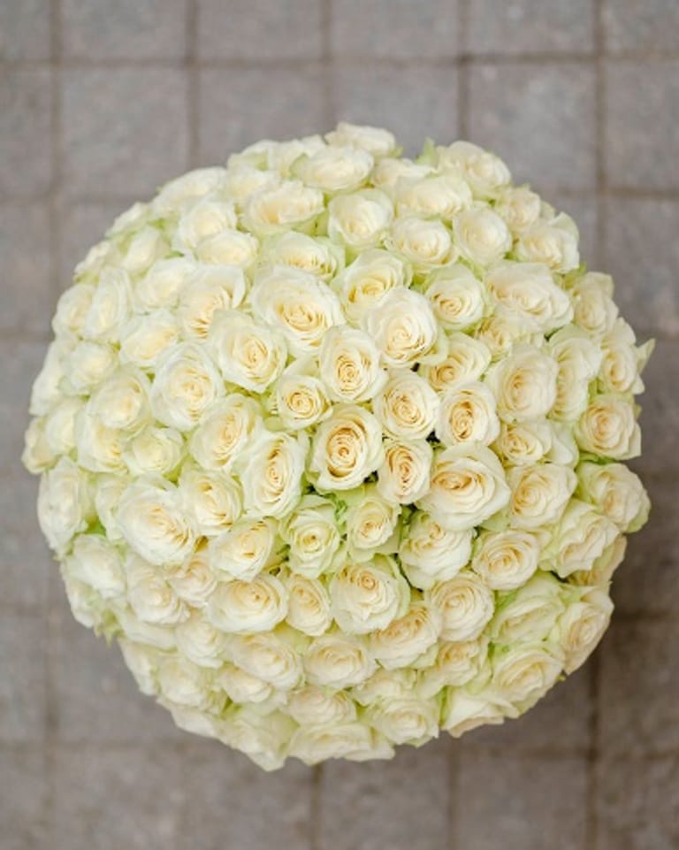 50 Roses - Image 4