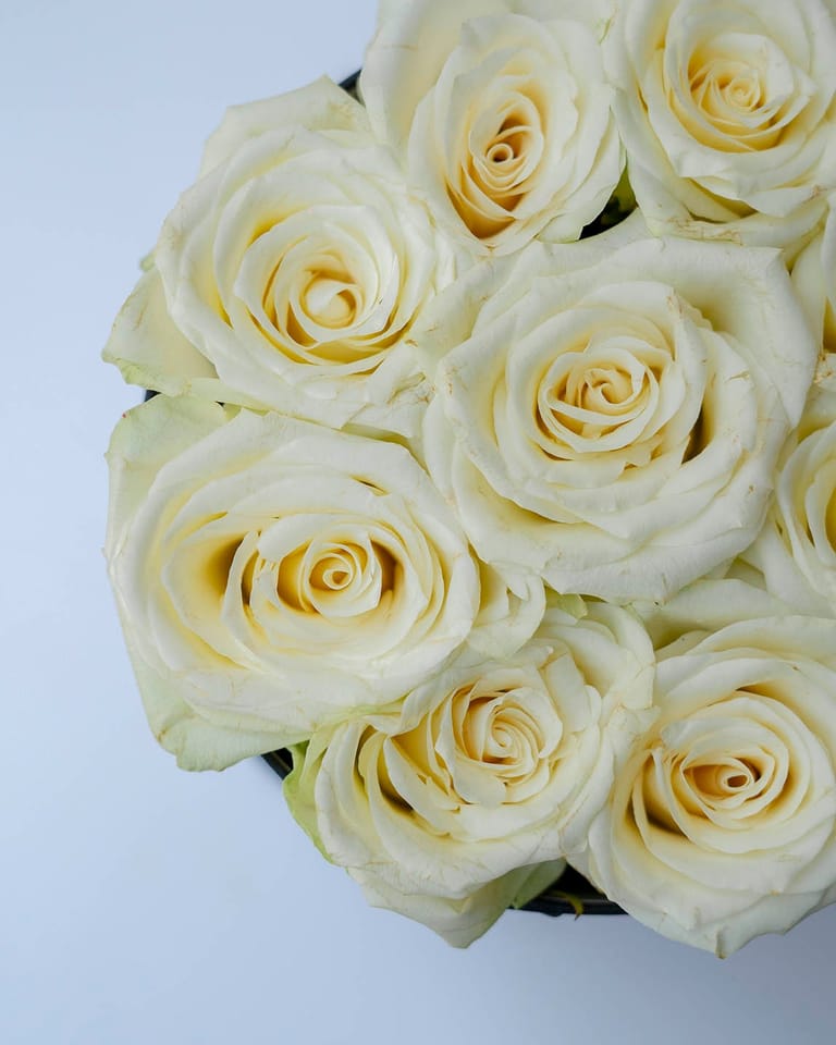 Amore 9 roses - Image 4