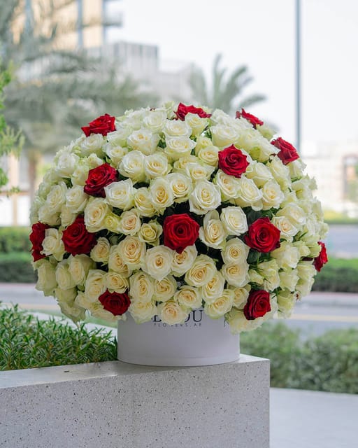 Amore red-white