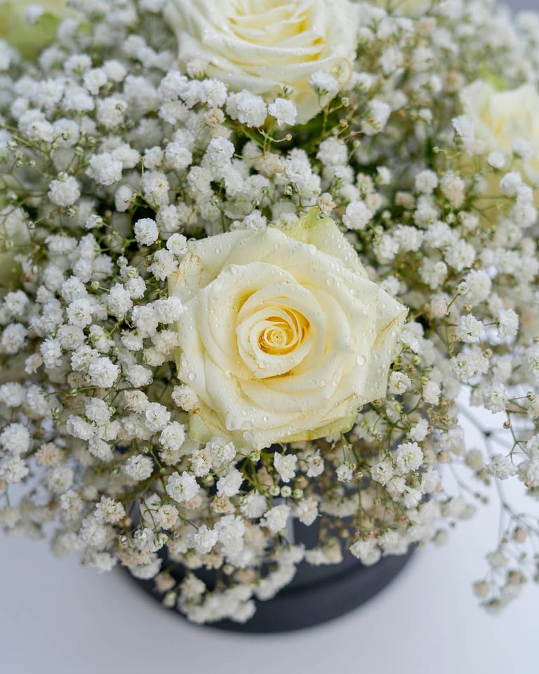 Baby rose - Image 4