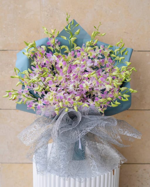 Orchids Bloom