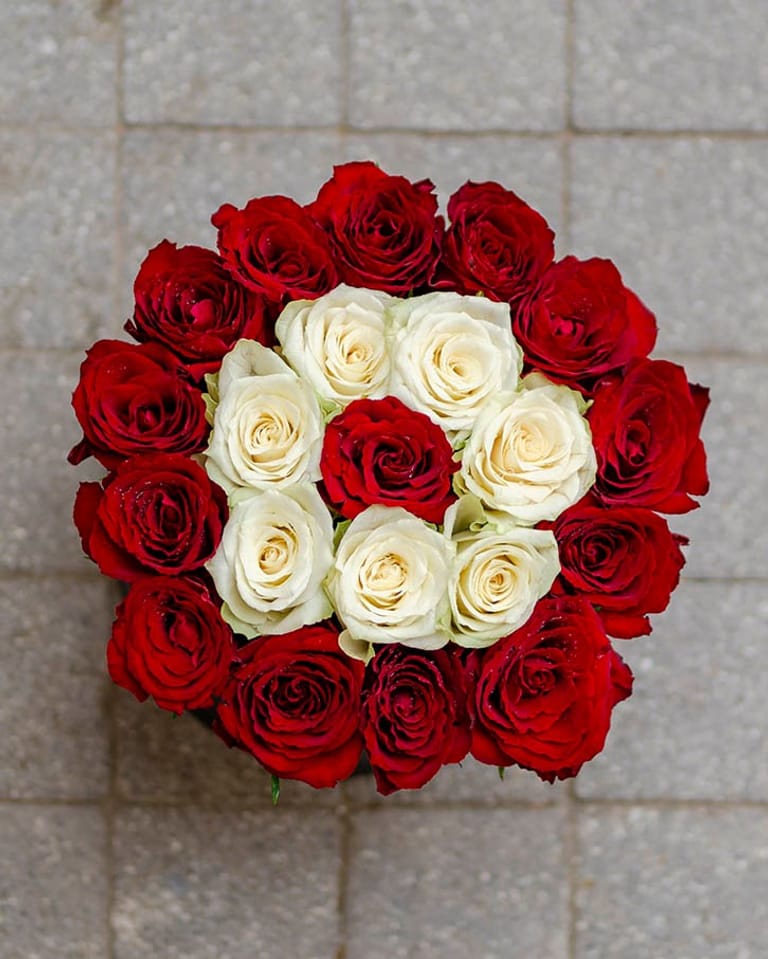 Rouge - Image 4