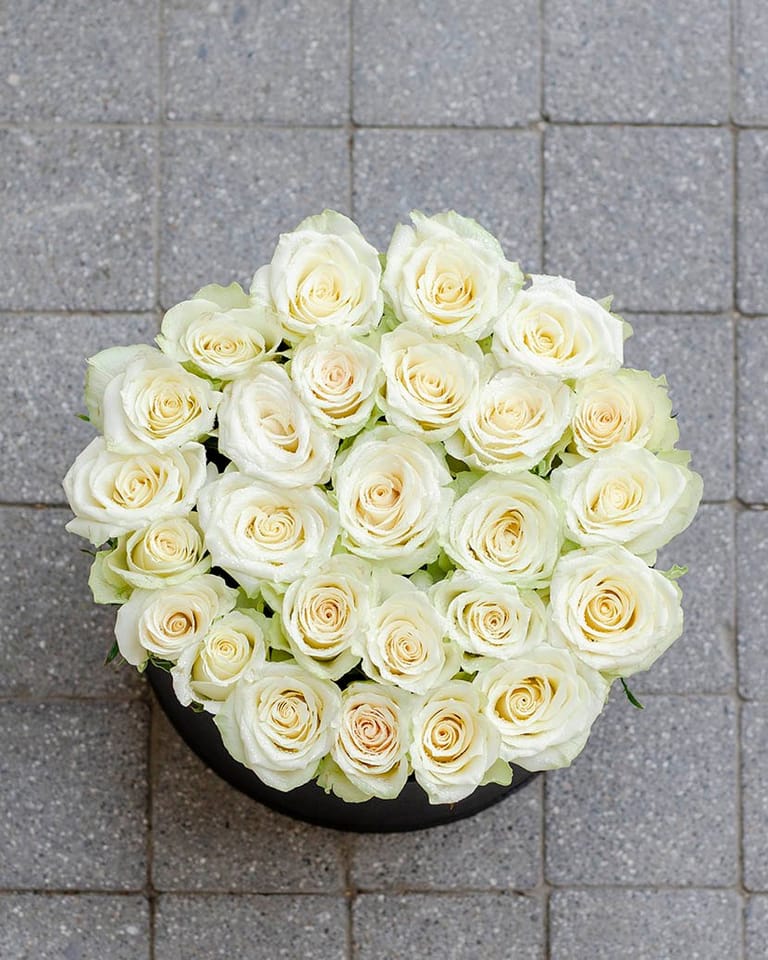 Rough white - Image 4
